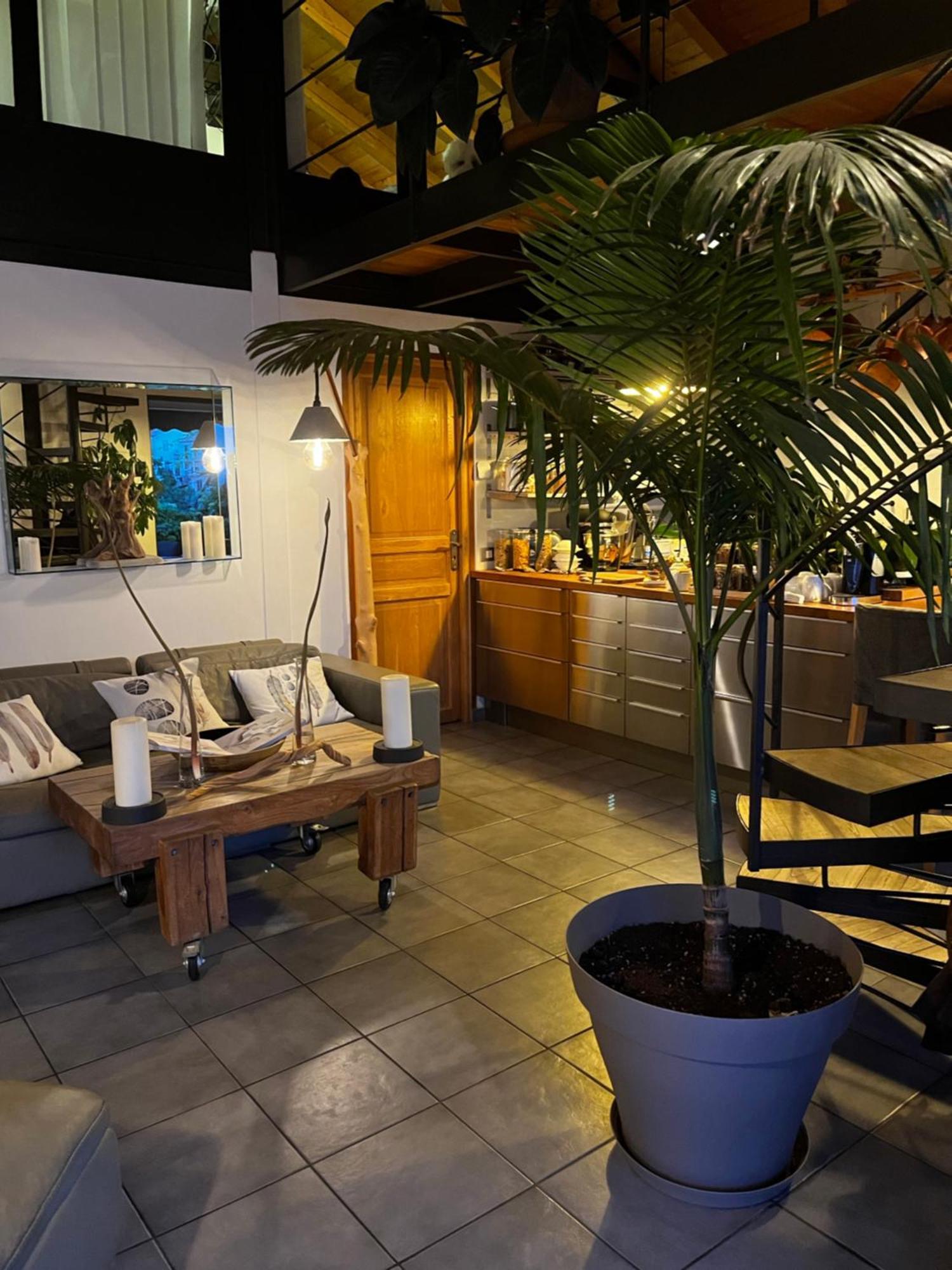 Skylark Bed&Breakfast Grasse Exteriör bild