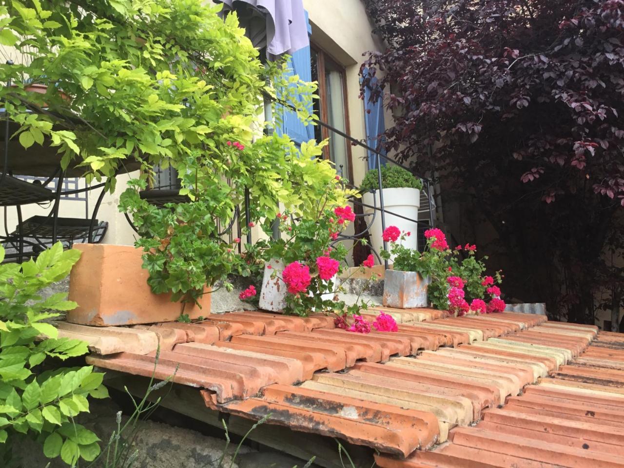 Skylark Bed&Breakfast Grasse Exteriör bild