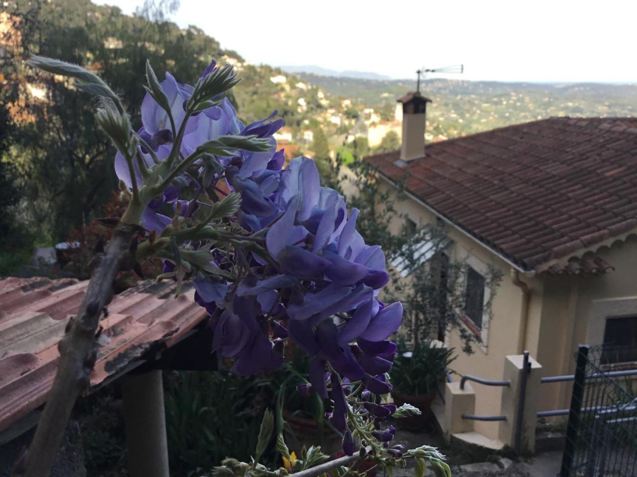 Skylark Bed&Breakfast Grasse Exteriör bild