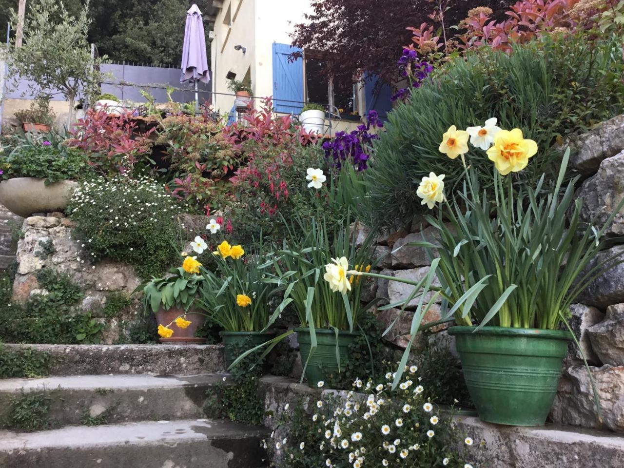 Skylark Bed&Breakfast Grasse Exteriör bild