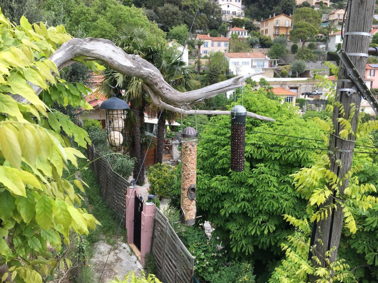 Skylark Bed&Breakfast Grasse Exteriör bild