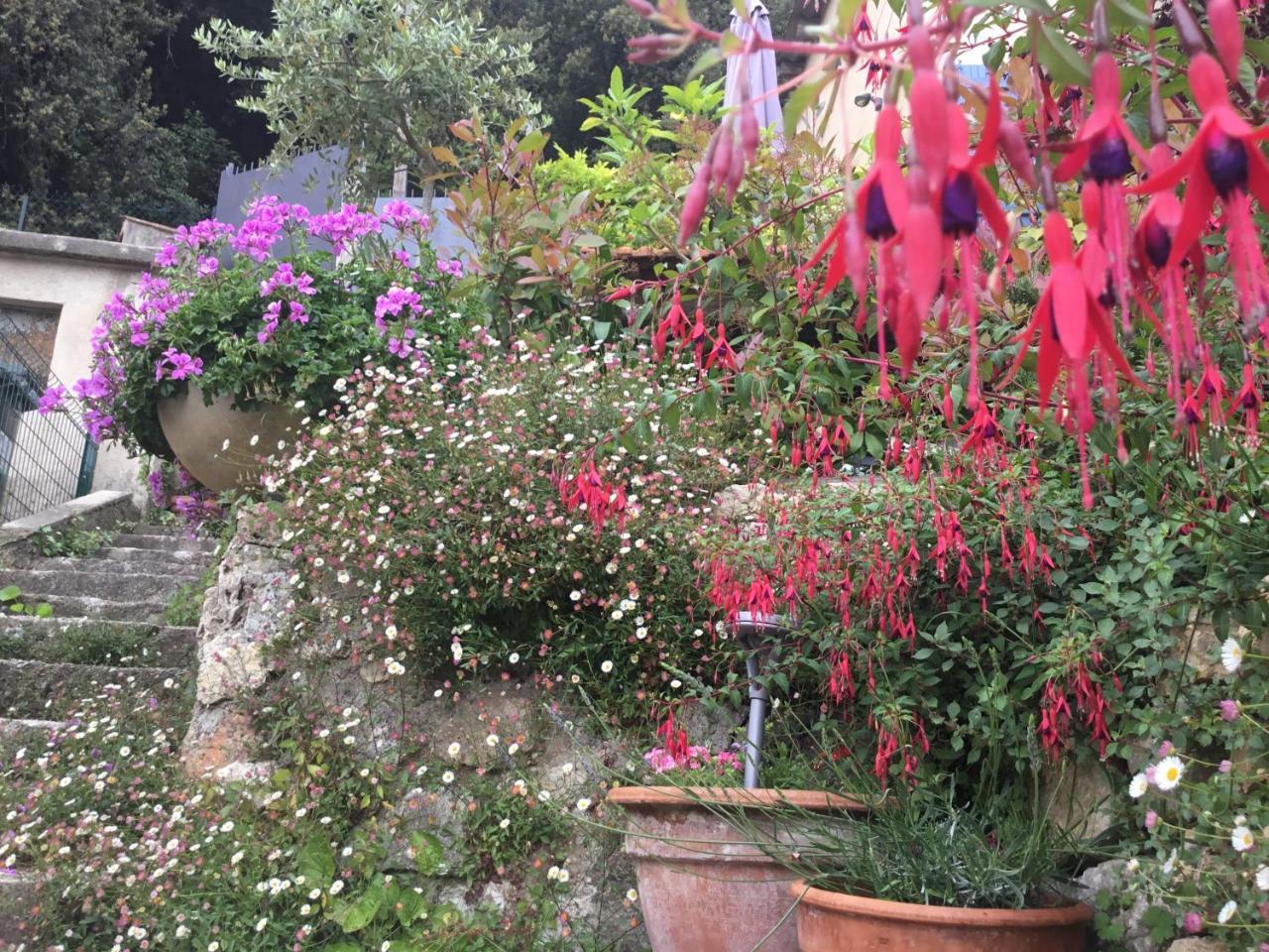 Skylark Bed&Breakfast Grasse Exteriör bild