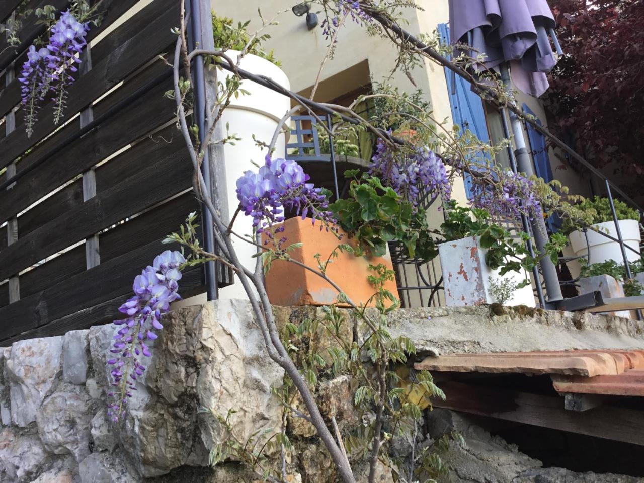 Skylark Bed&Breakfast Grasse Exteriör bild