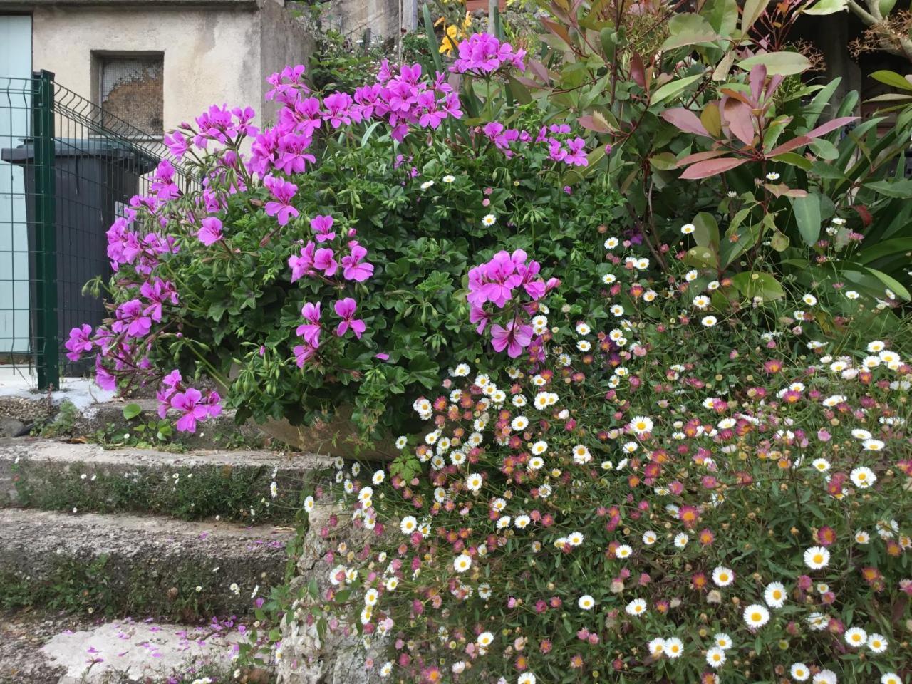 Skylark Bed&Breakfast Grasse Exteriör bild