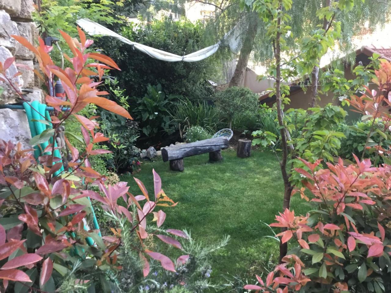 Skylark Bed&Breakfast Grasse Exteriör bild